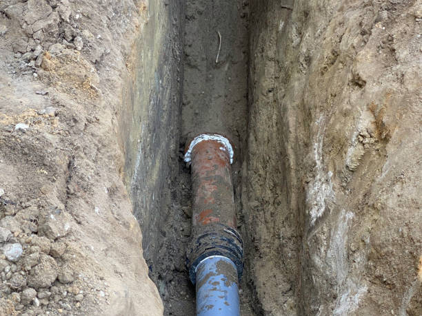 Best 24-hour water damage restoration  in Waukegan, IL