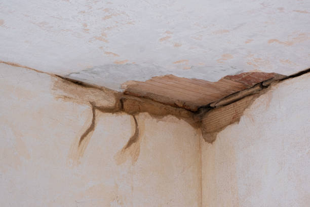 Best Carpet water damage restoration  in Waukegan, IL