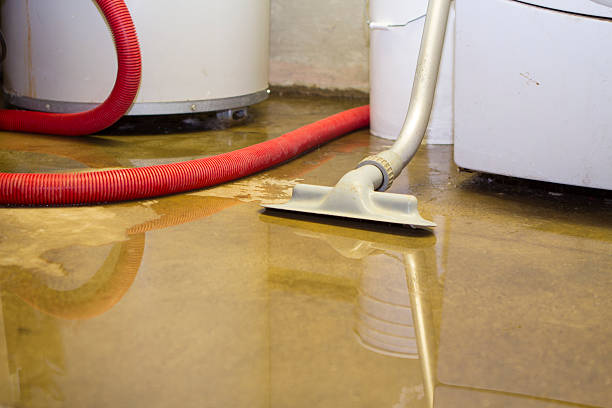 Best Water damage restoration near me  in Waukegan, IL