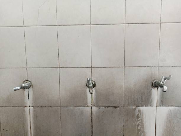 Best Water damage cleanup near me  in Waukegan, IL