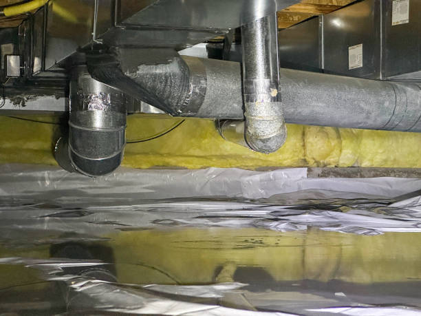 Best Flood damage cleanup  in Waukegan, IL