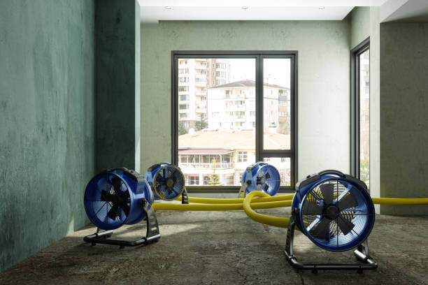 Best Residential water damage restoration  in Waukegan, IL