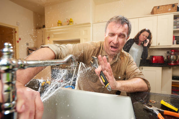 Best Local water damage restoration  in Waukegan, IL